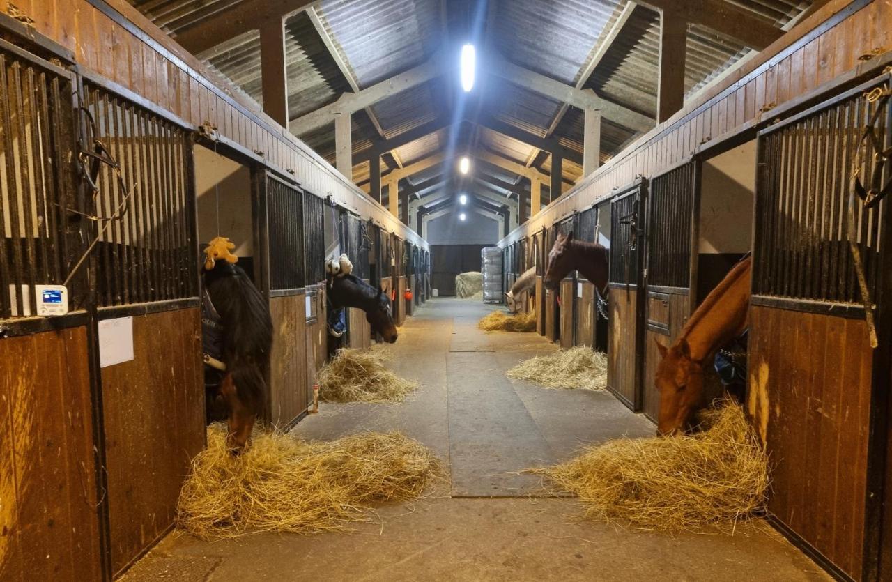 Gite Haras Du Bois De Formerie Exteriör bild