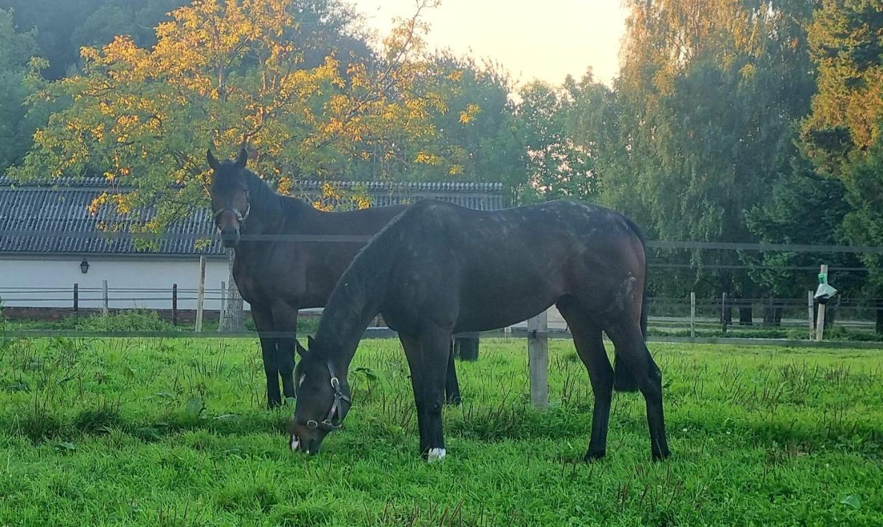 Gite Haras Du Bois De Formerie Exteriör bild