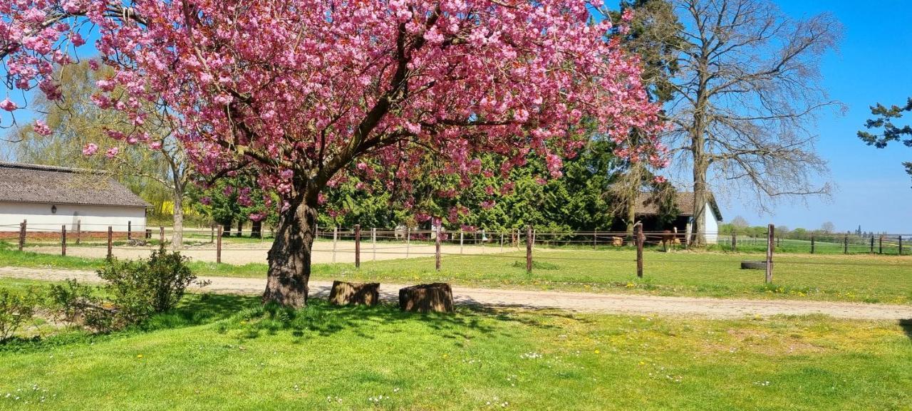 Gite Haras Du Bois De Formerie Exteriör bild